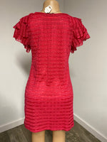 Ruffle Sleece Lace Dress